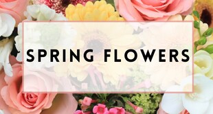 Flower Delivery to Rockledge by Blake Florist & Flower Delivery